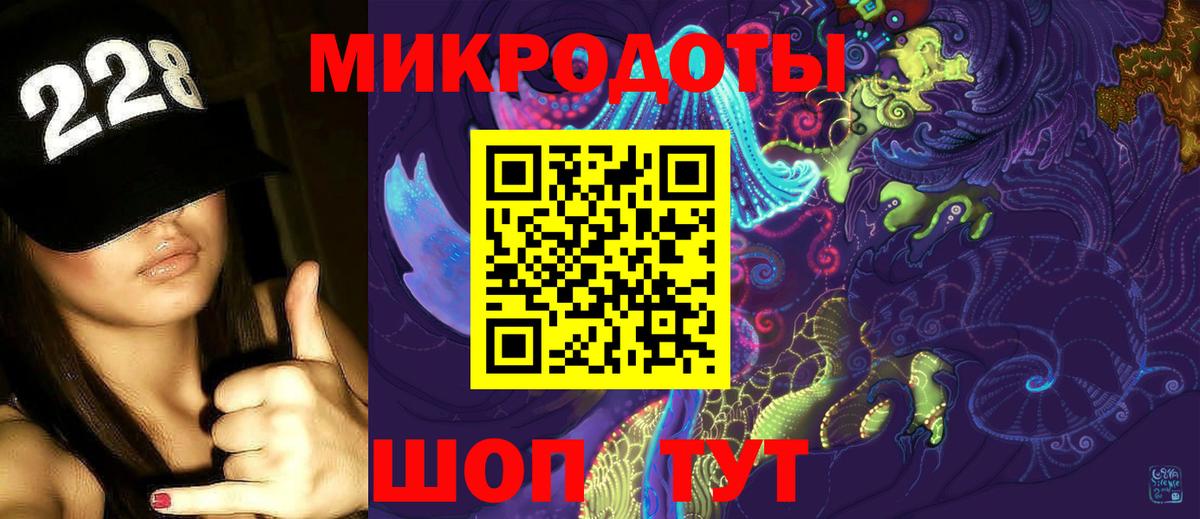 Псилоцибиновые грибы прущие грибы Отрадный