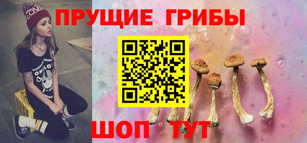 Отрадный  Галлюциногенные грибы Cubensis  Вход с VPN 